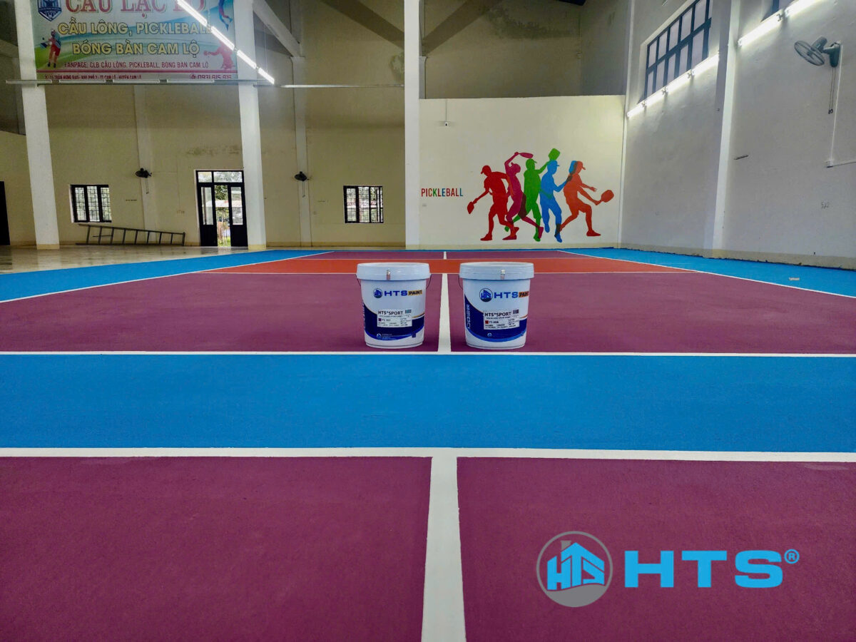 Cấp sơn thể thao - Cụm 6 sân Pickleball Quảng Trị