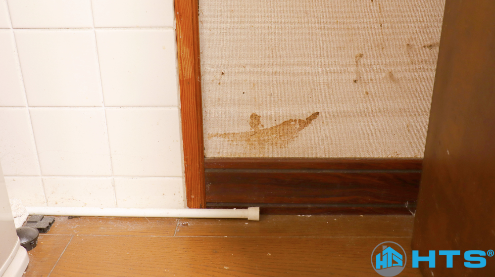 Vì sao cần chọn nước lau sơn tường đúng cách