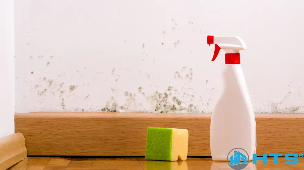 Tường nhà bị ẩm mốc do thấm nước, độ ẩm cao và thông gió kém, gây mất thẩm mỹ và ảnh hưởng sức khỏe