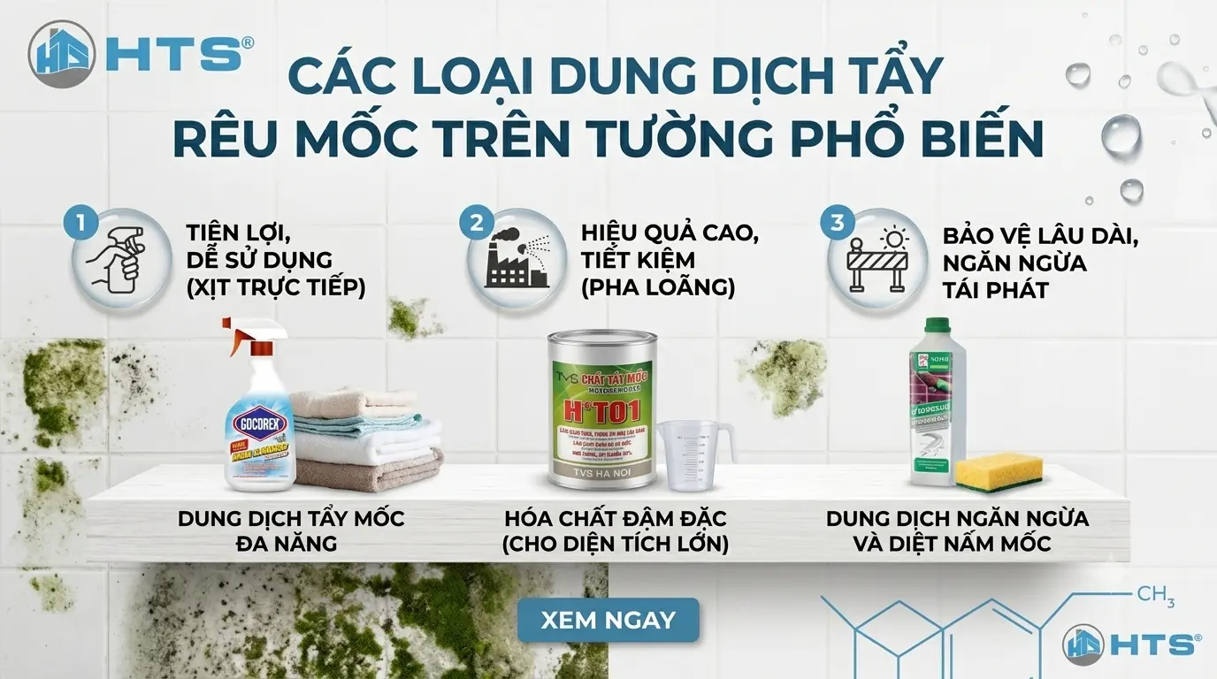 Các loại dung dịch tẩy rêu mốc phổ biến giúp làm sạch và xử lý rêu mốc trên bề mặt tường
